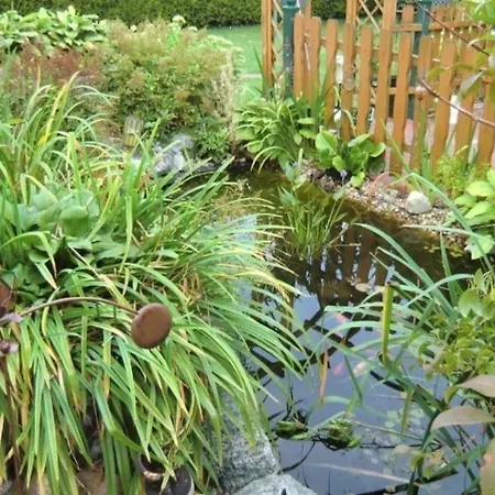 In Flachsmeer Mit Grill, Terrasse Und Garten *