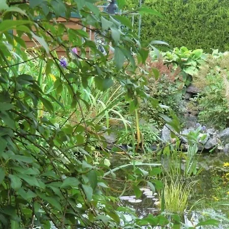 In Flachsmeer Mit Grill, Terrasse Und Garten Apartman Westoverledingen